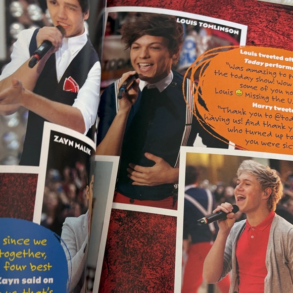 One Direction Book - Picture 11 of 12